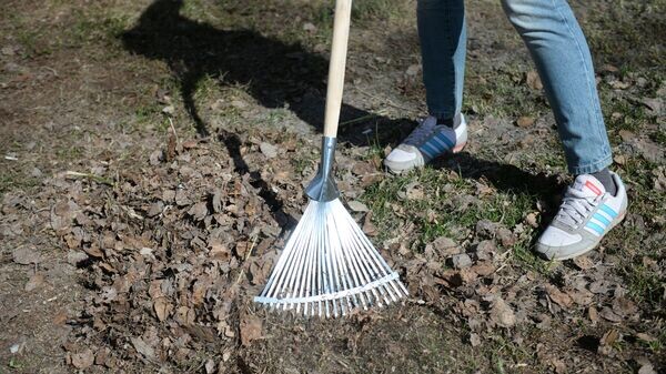    © Sputnik / Павел Лисицын