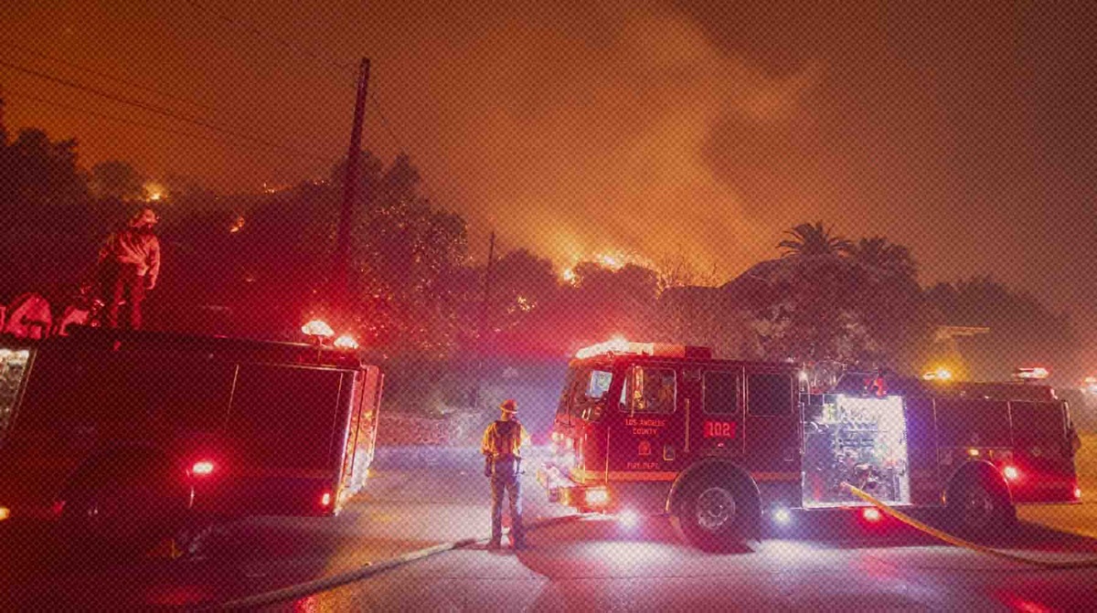    Фото: Global Look Press / Ringo Chiu