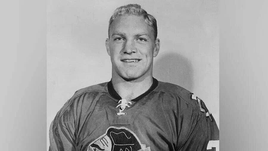 Провёл более 20 сезонов в НХЛ и ВХА