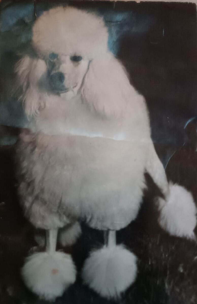 Фото Марины Шилец