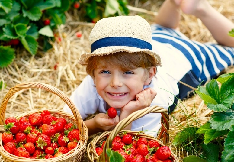 Сашка - блин комом