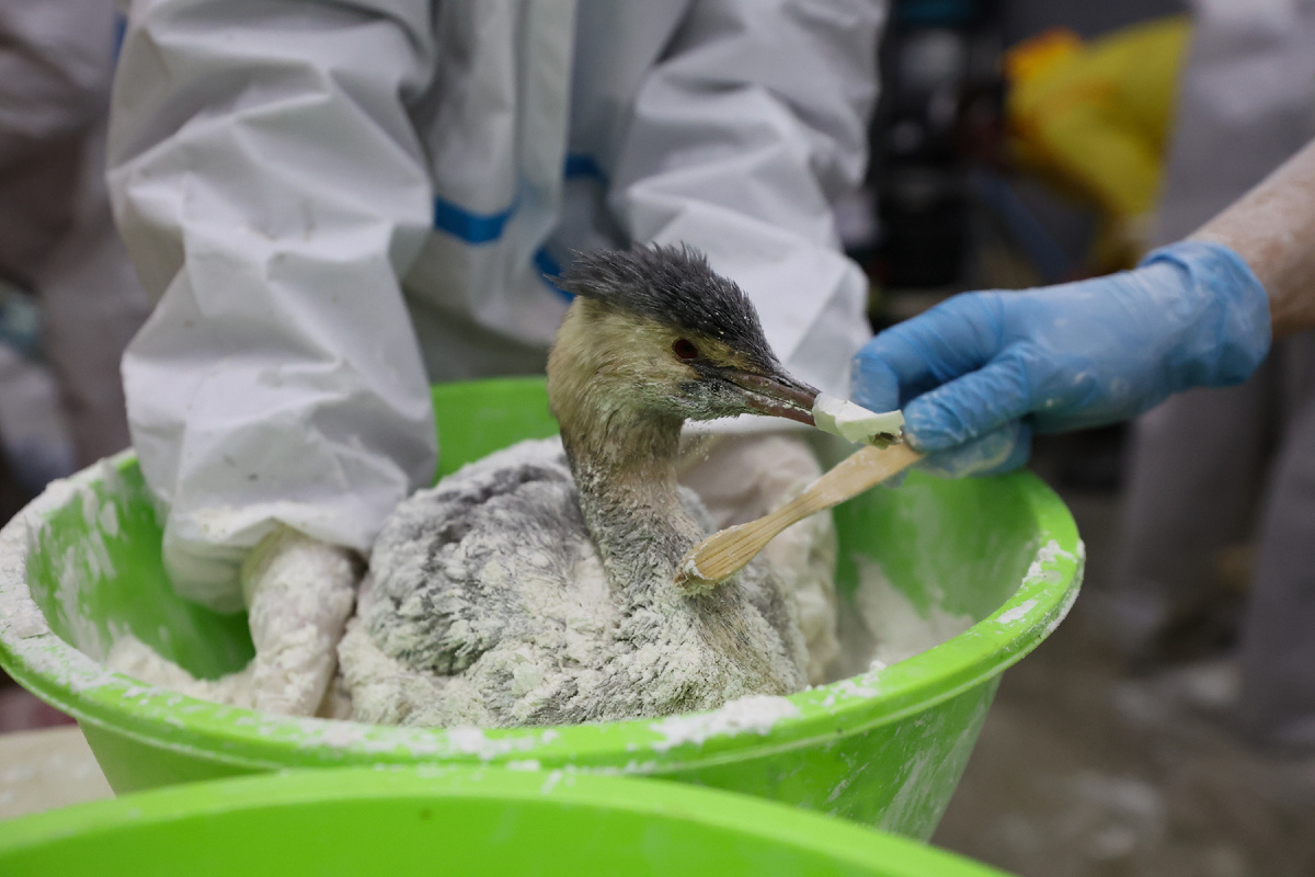 Фото: Belkin Alexey / news.ru / Global Look Press