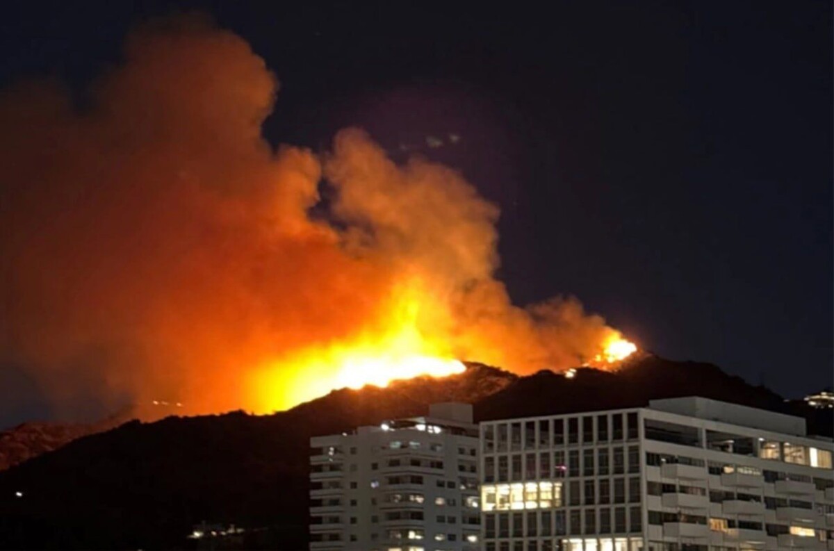     / Источник: © Социальные сети