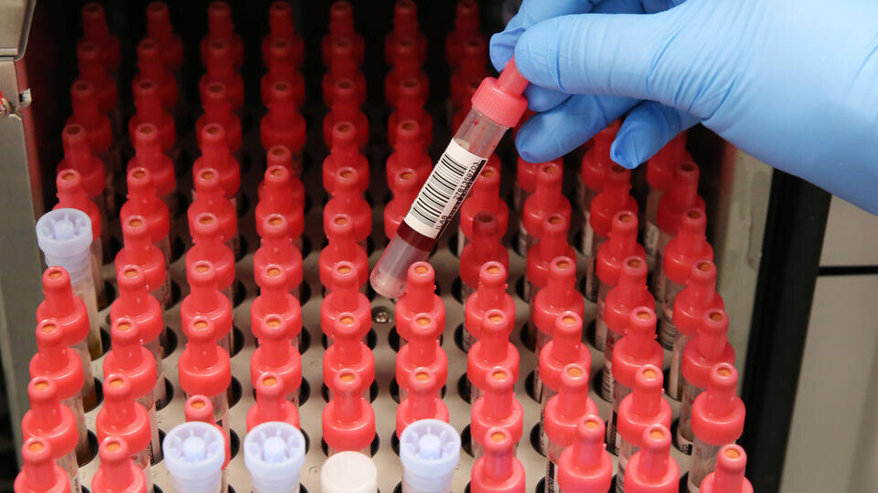    Global Look Press/IMAGO/www.imago-images.de