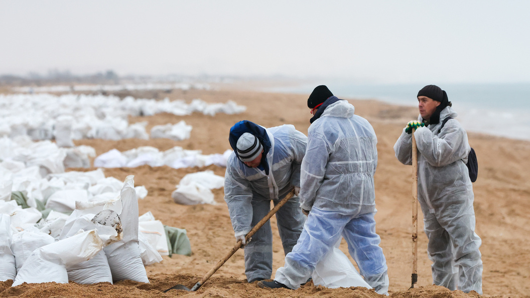    фото: Belkin Alexey/news.ru