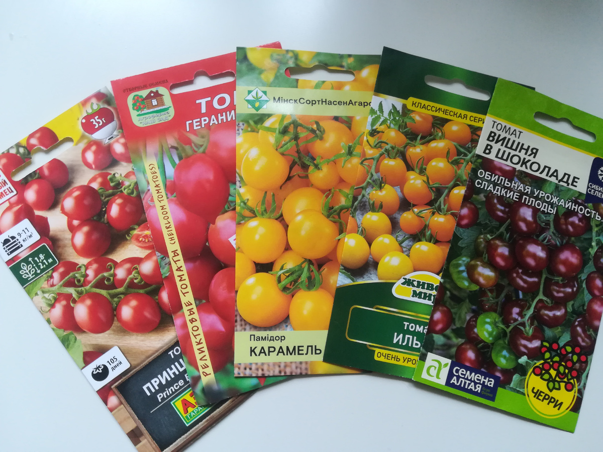 Мой набор томатов черри на 2025 год