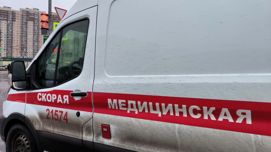    Максим Константинов/Globallookpress