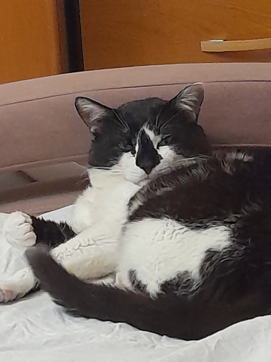 Фото автора.  Митрофан