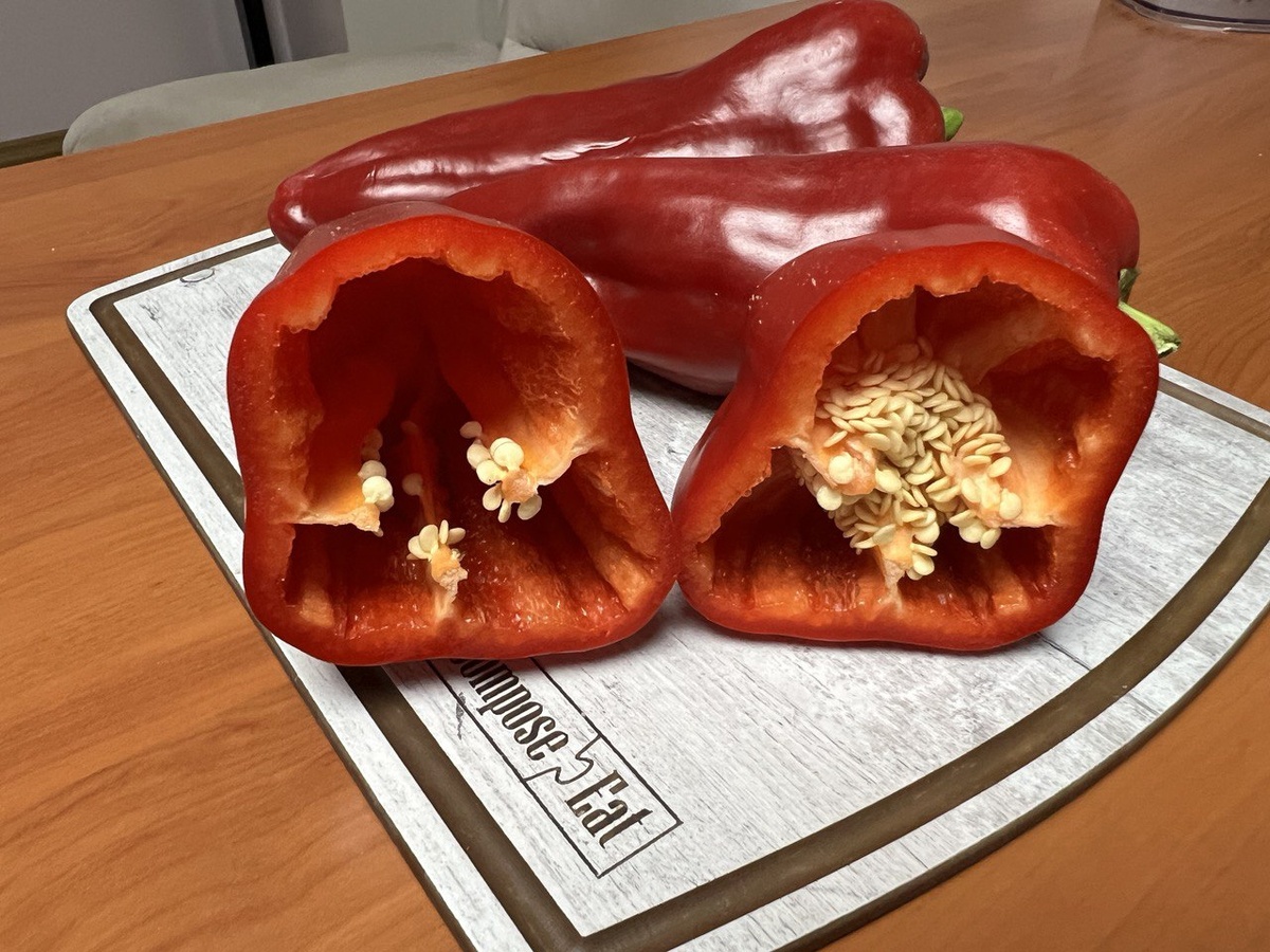 Фото из личного архива