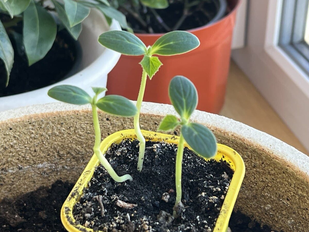 Фото из личного архива