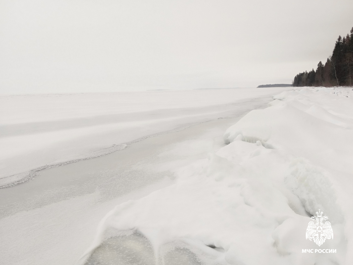 Фото: МЧС Карелии  📷
