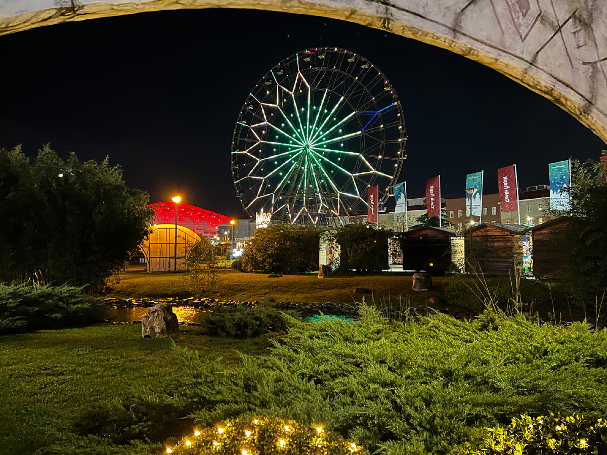 Я люблю такую зиму, как на юге, без снега и холода. Сриус декабрь 2023 года.