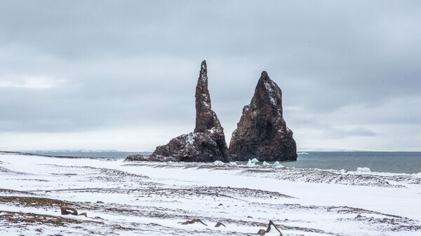    © Sputnik / Илья Тимин