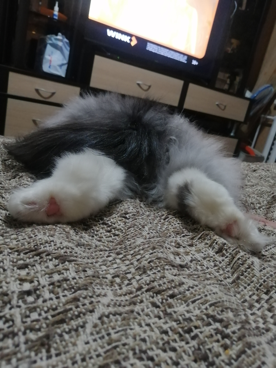 Сладкая попка... 