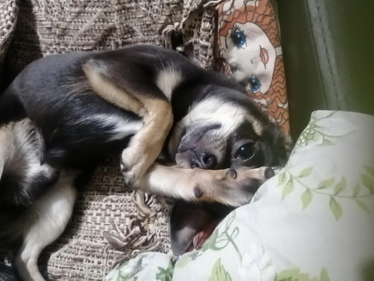 Остапу некуда торопиться. 