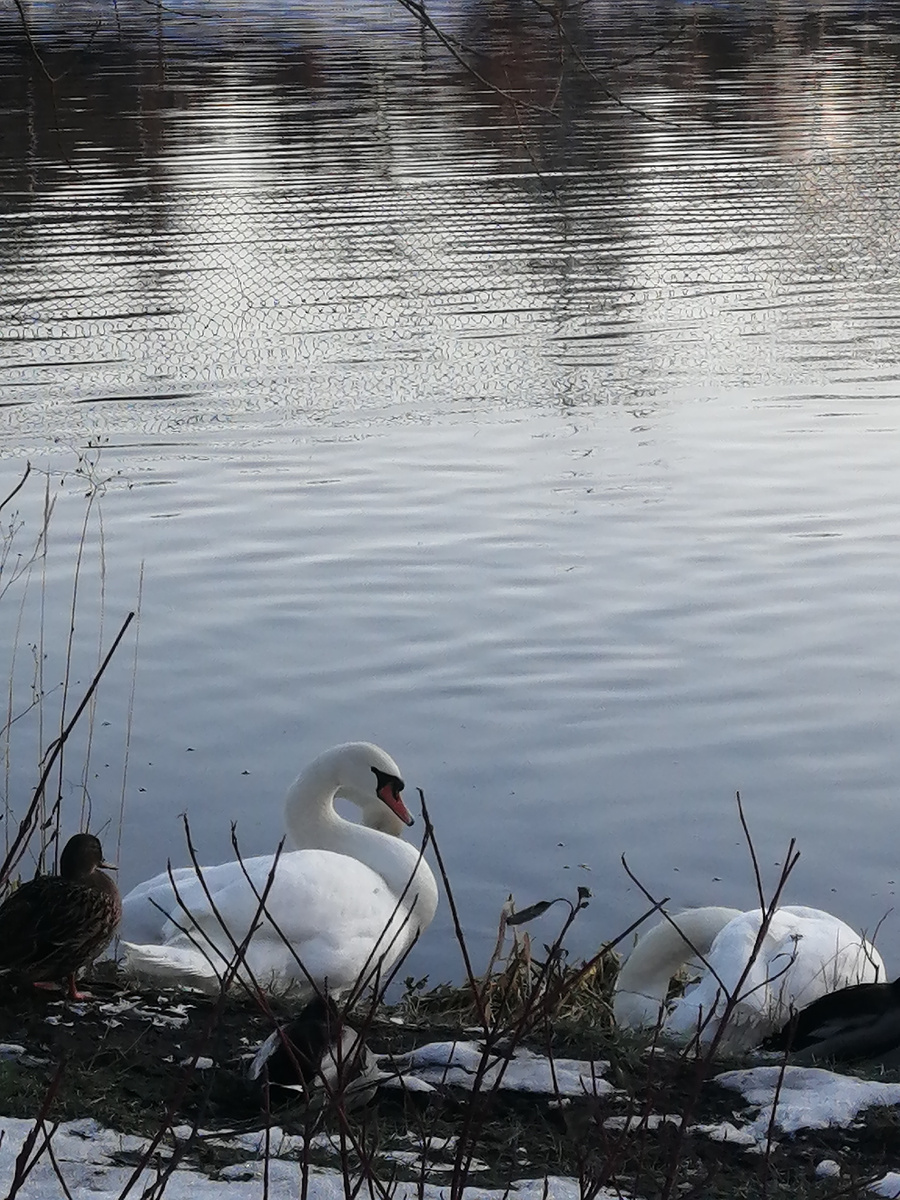 Красавчики! 