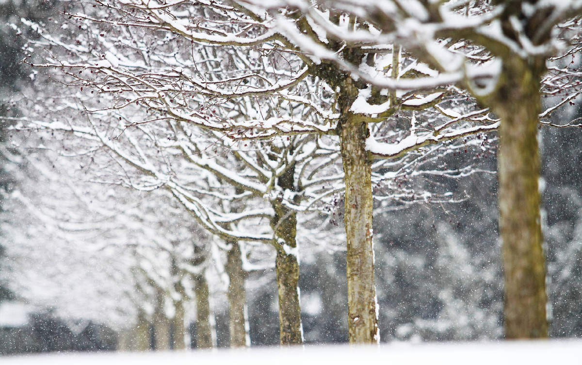 Фото Janice Parker Landscape Architects