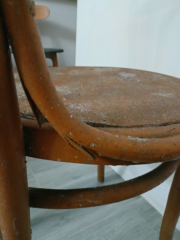 лопнувшие бобышки