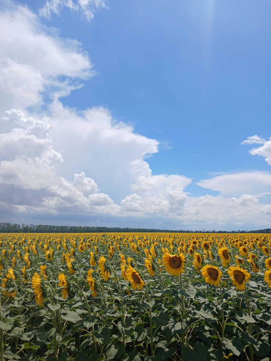 И стала смотреть по сторонам