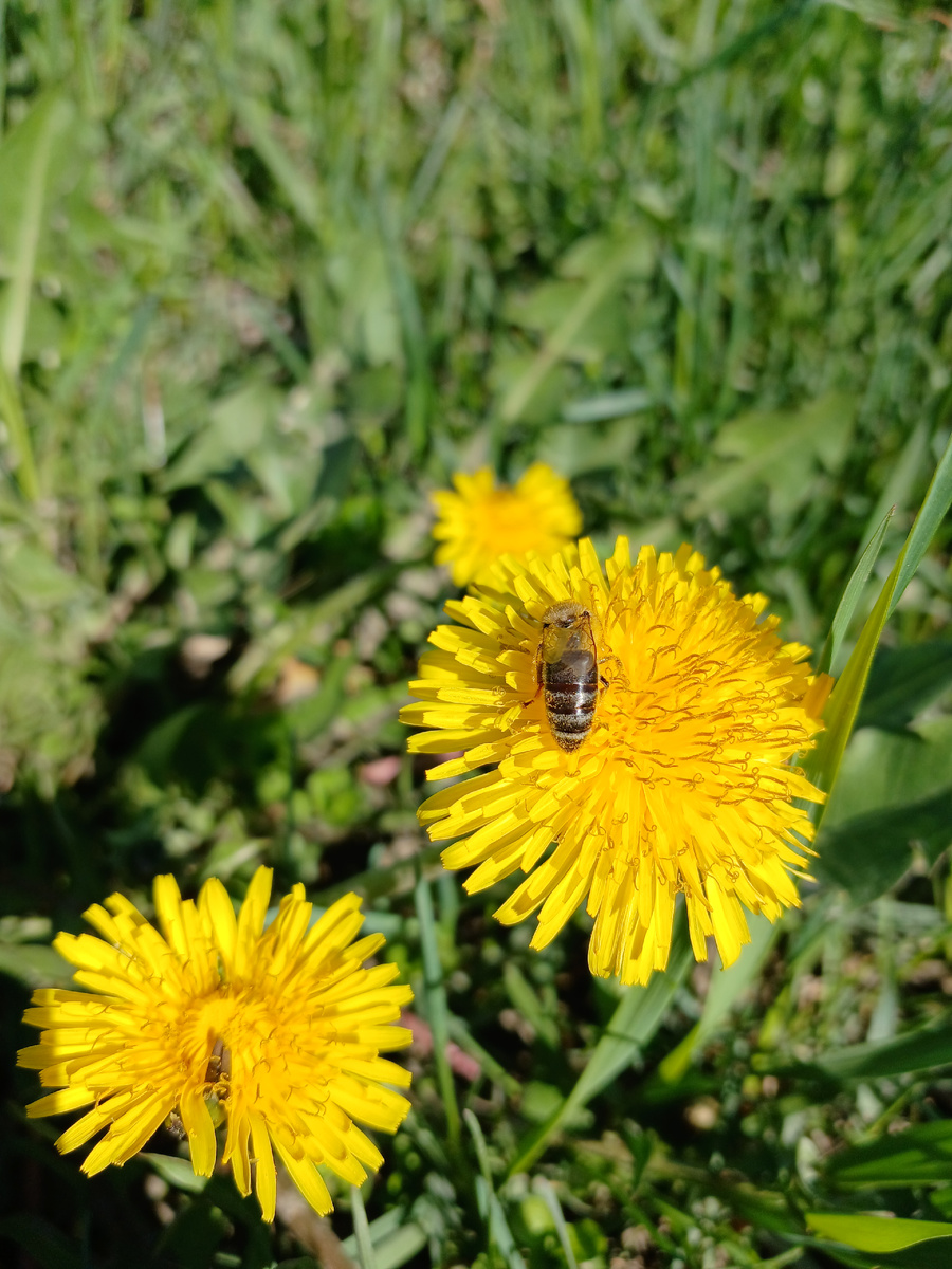 Весна на Кубани