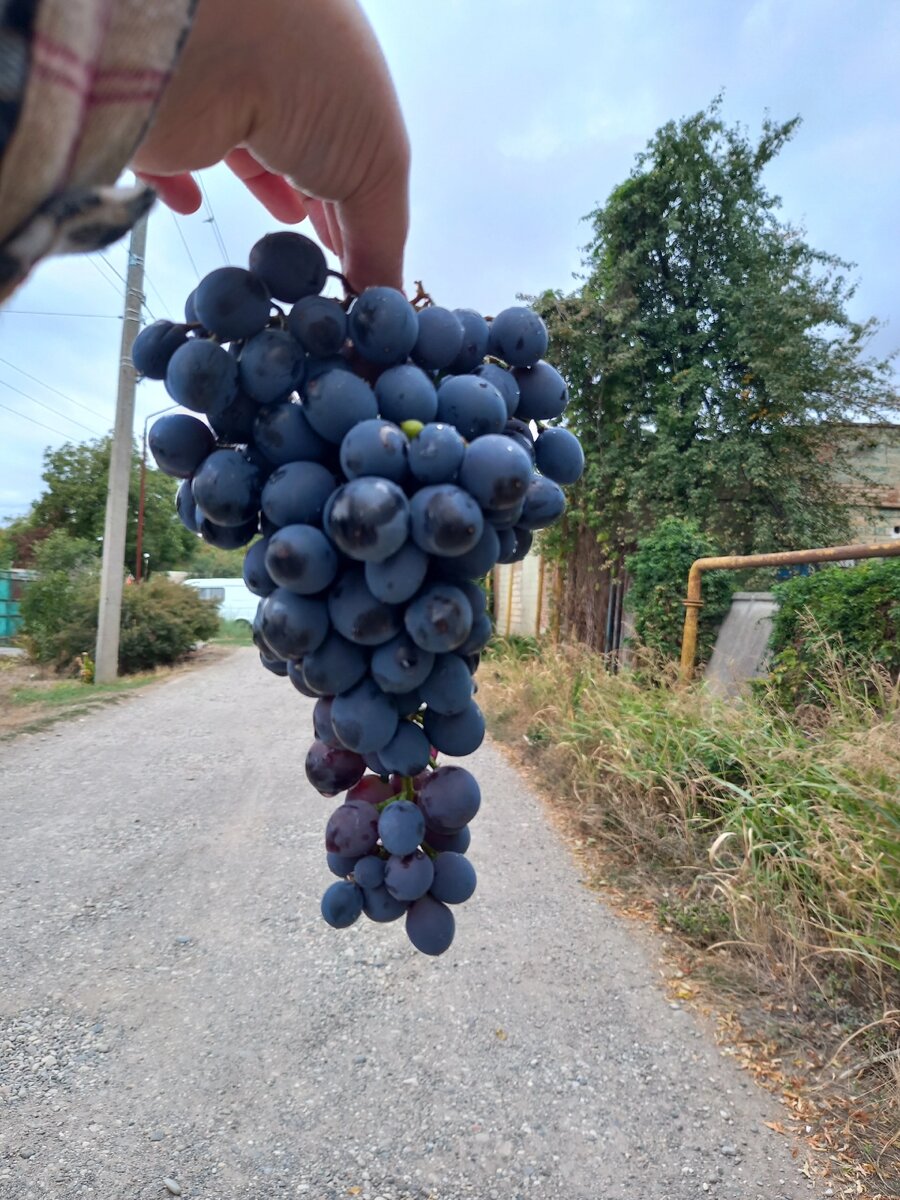 Кусочек отпуска