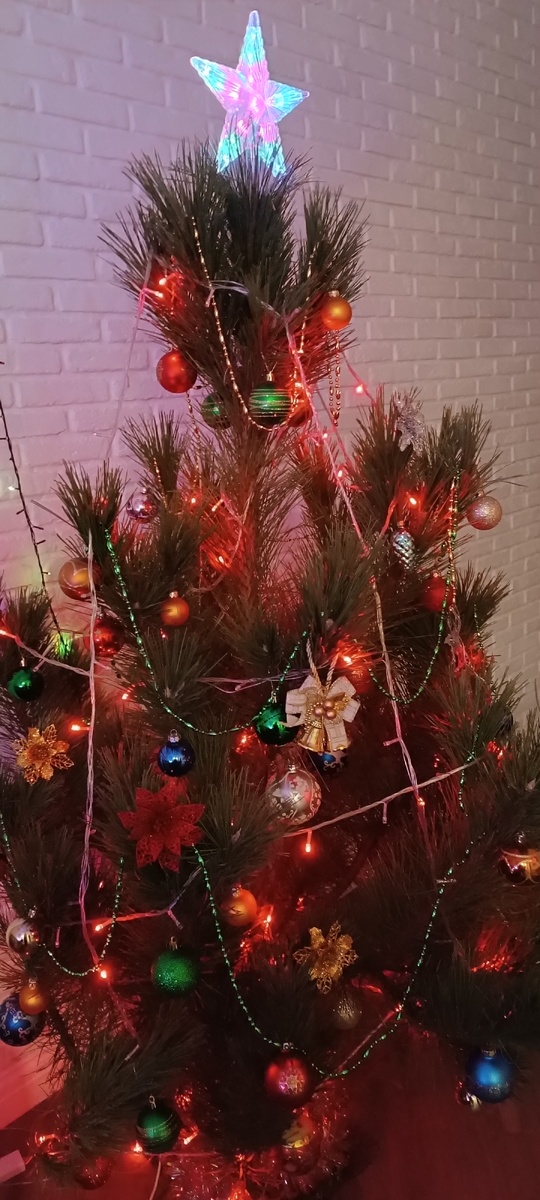 Новогодняя красавица