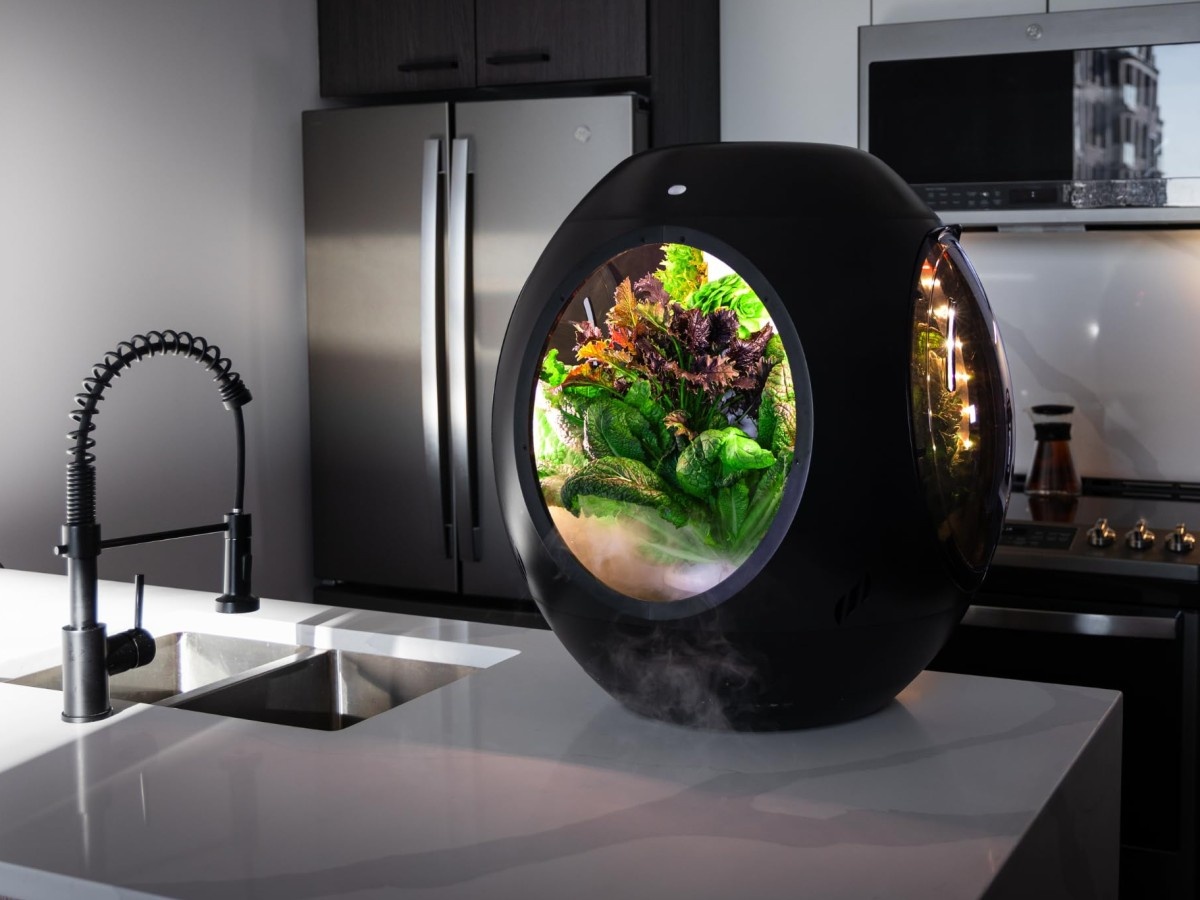    Plantaform поможет вырастить мини-сад в квартире