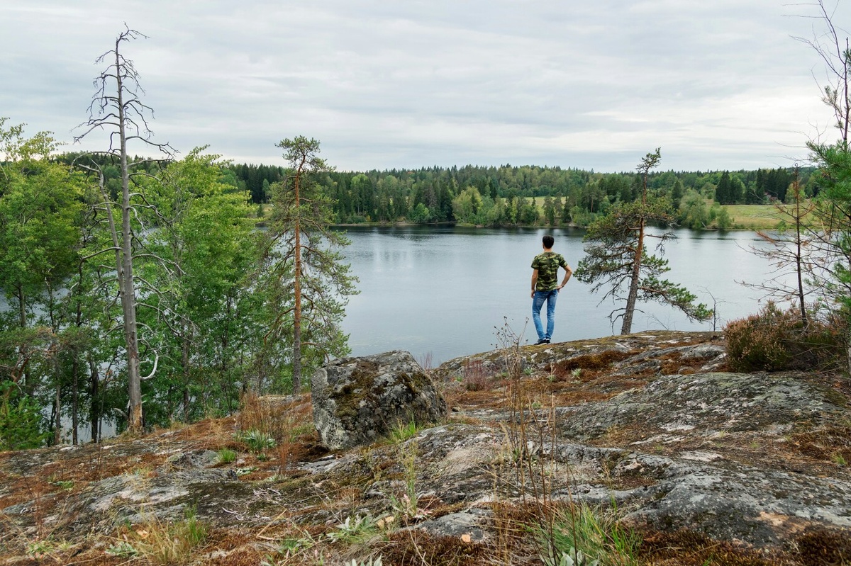 Скала летом