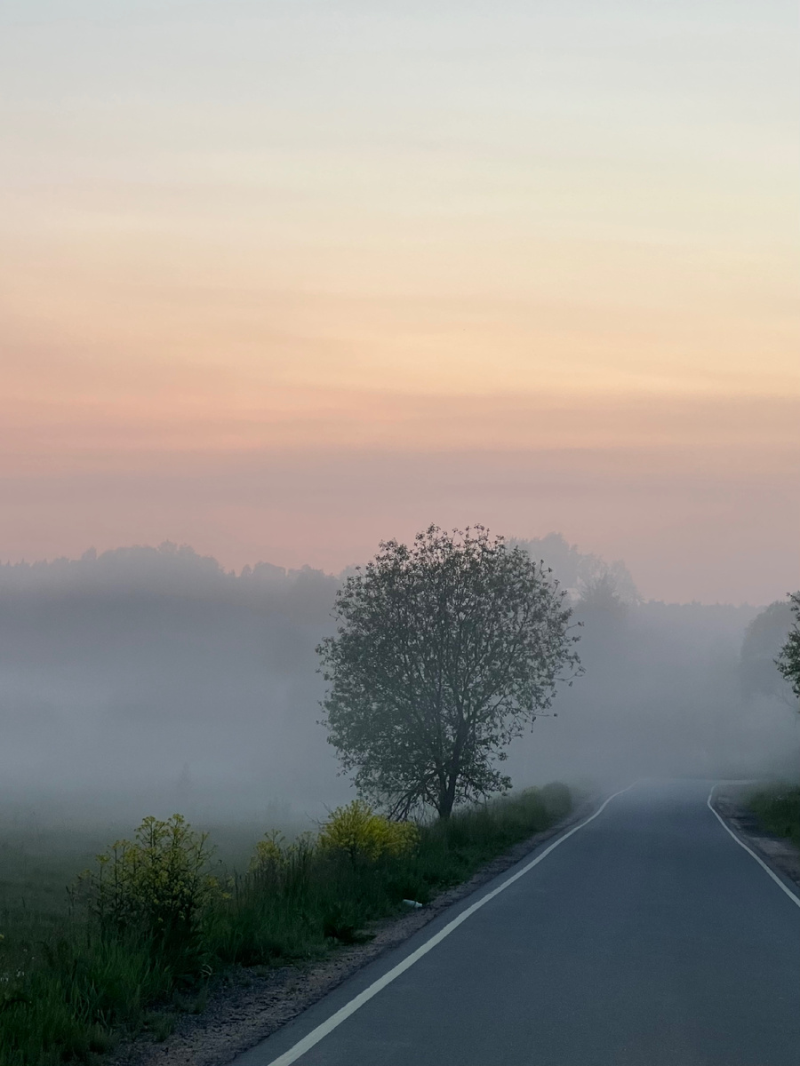 Будущее не известно и всё, что мы имеем - этот момент 