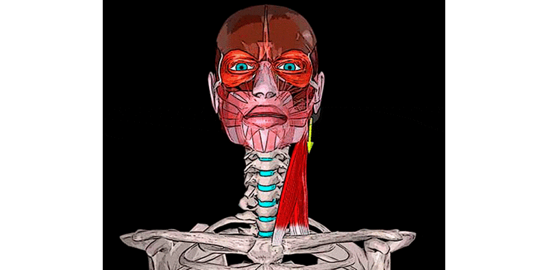 Поворачивает лицо в противоположную сторону