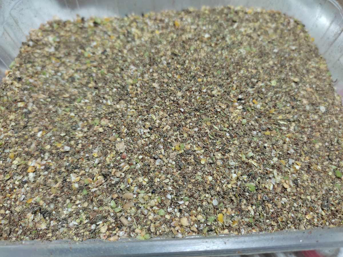 Готовый на зернодробилке Зубр-1С корм для перепелов