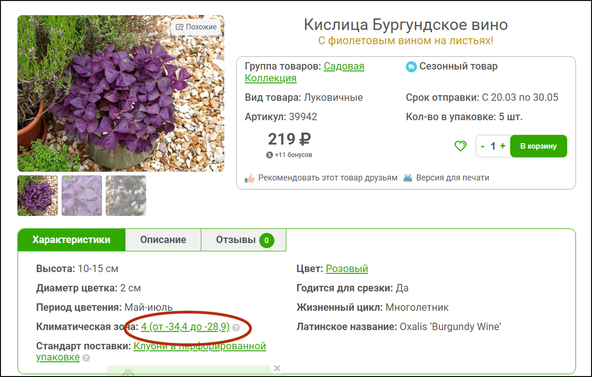 Скриншот с сайта магазина