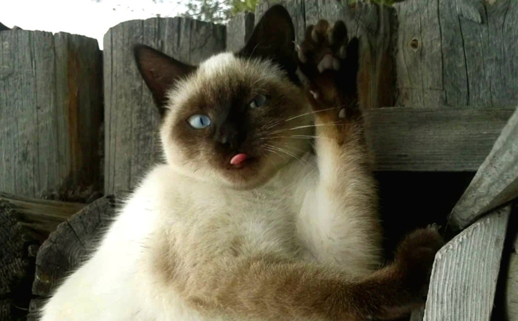 Рады, что вы заглянули на наш канал ->->->