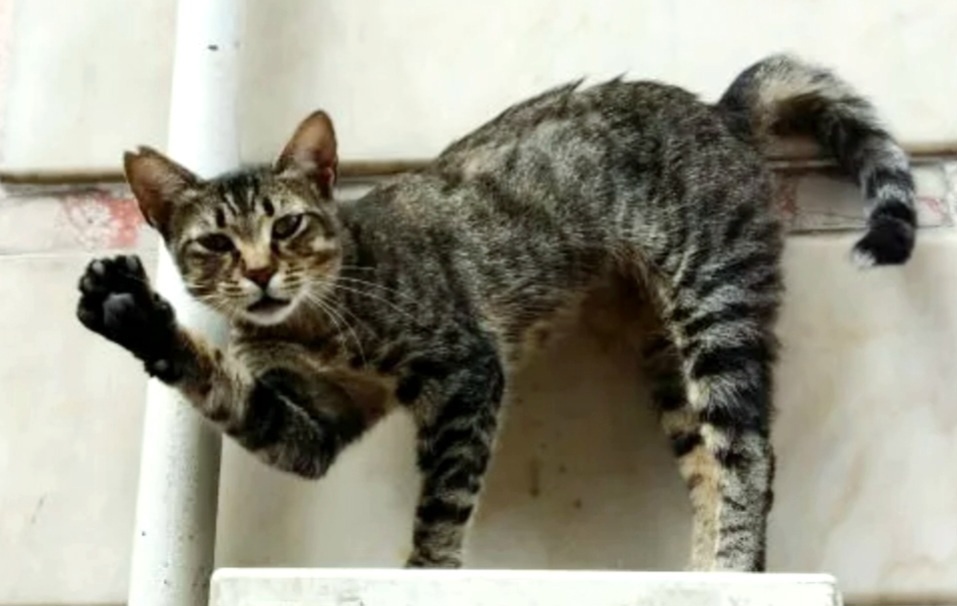 Хай, пипл. Спонсором вашей радости и смеха сегодня станем мы