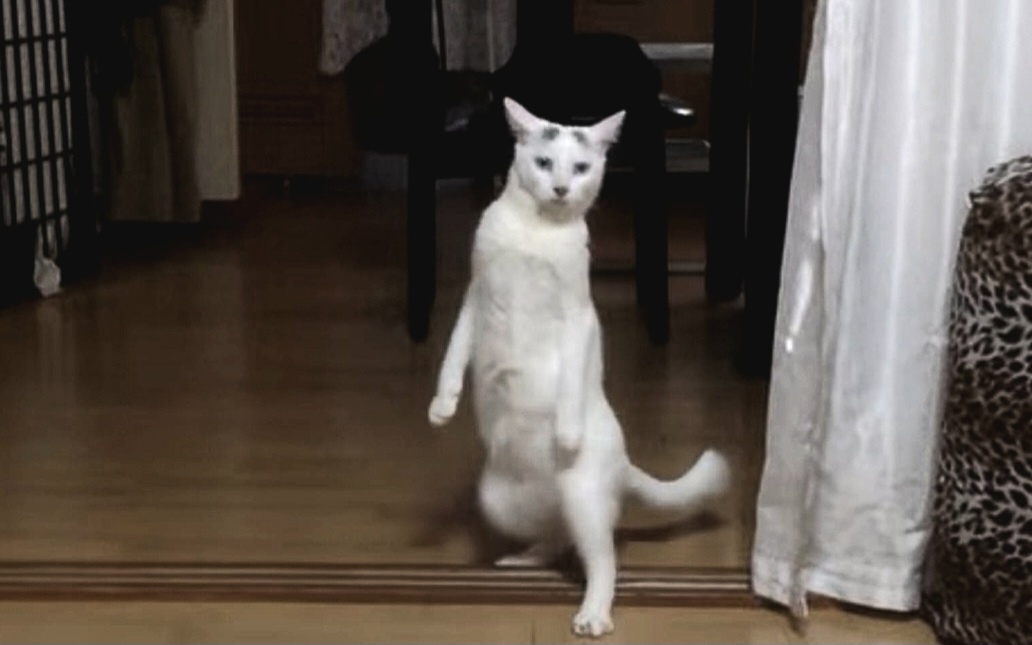 А кто не идет, я их притащу насильно!