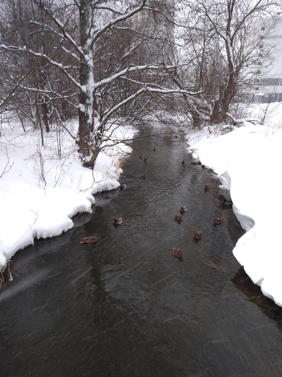 Сугобы нависают над водой и это круто