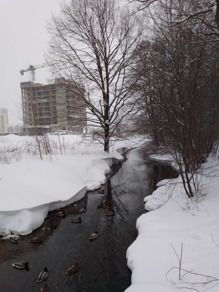 Сколькло снега. 
