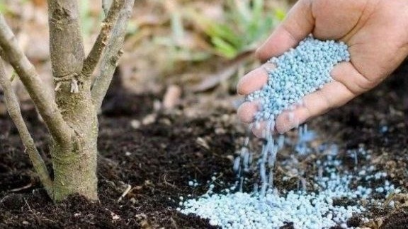 Фото с pinterest.com