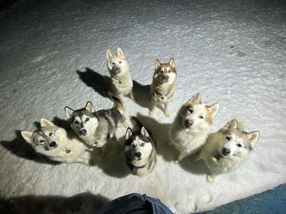 Олаф за кадром 