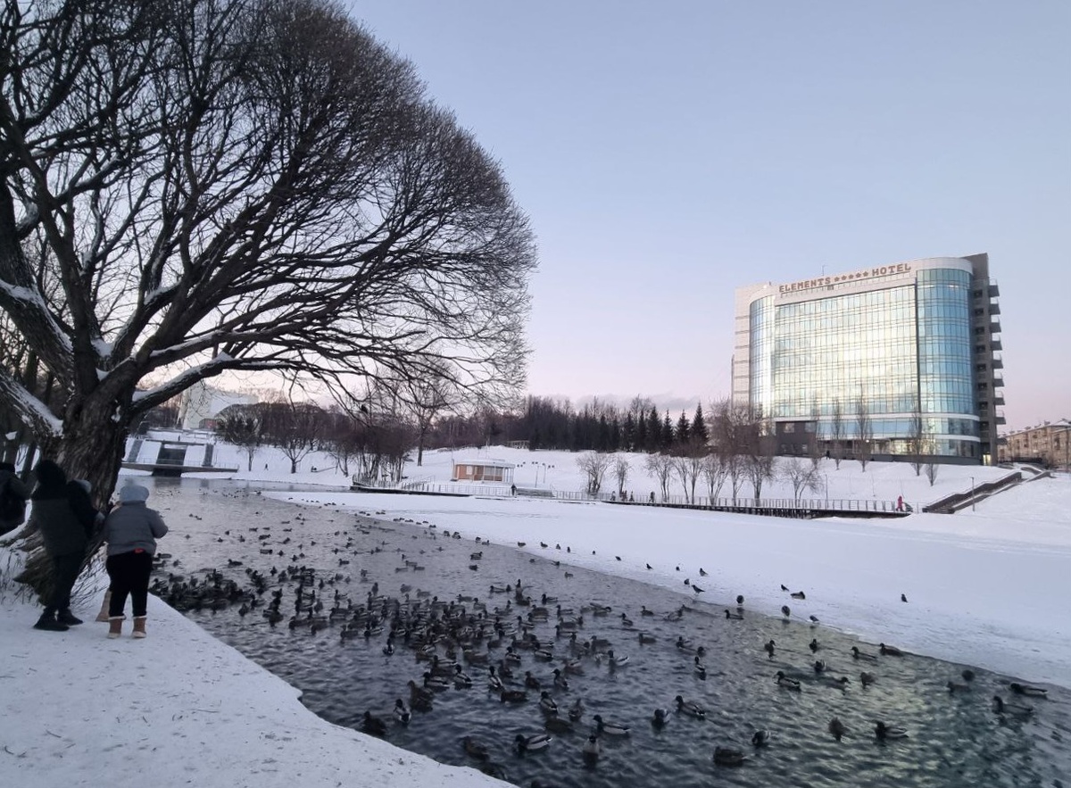 Утки, утки, утки... И новая гостиница 