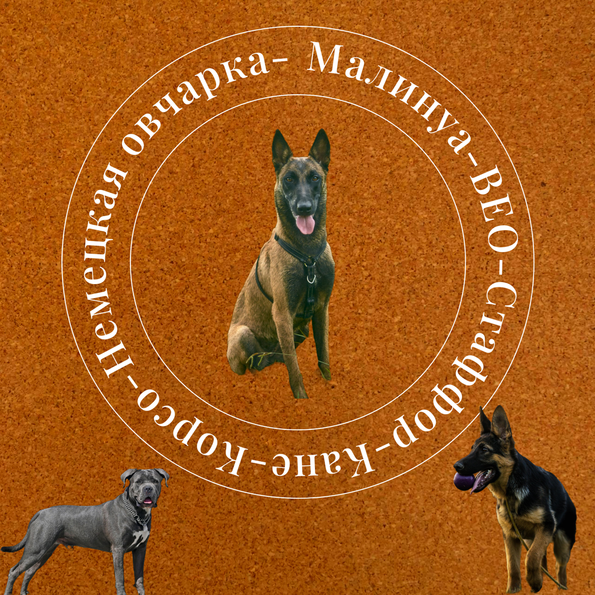 Это был не легкий выбор...