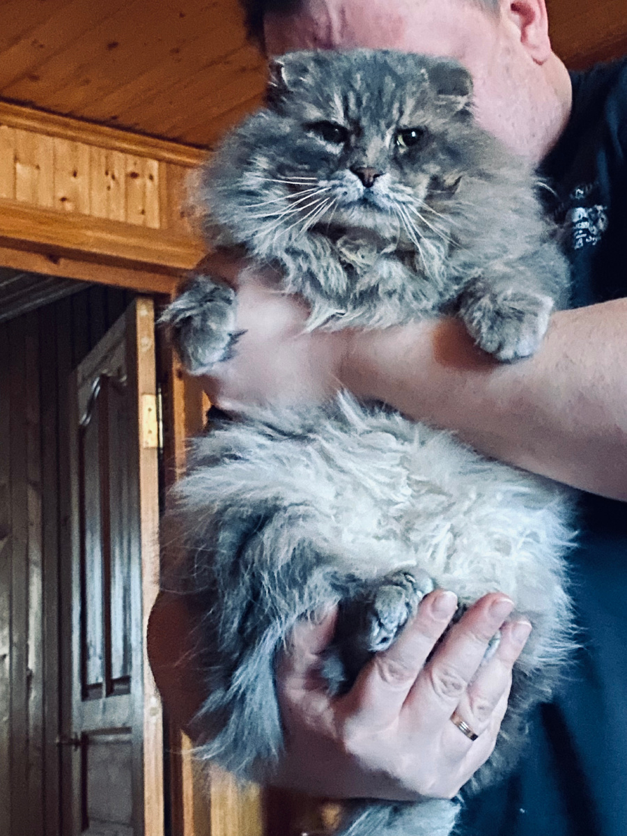 Хозяин, она меня обижает! 