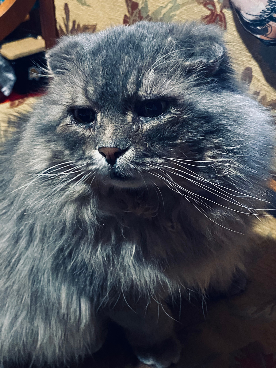 А кто меня развлекать будет? Везде фото автора.