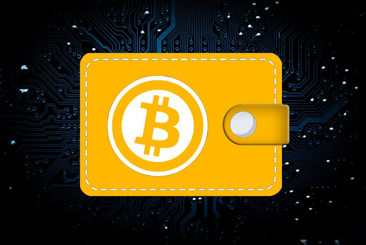 Лучшие криптокошельки 2025