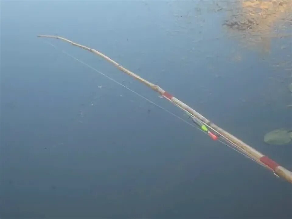  На фото пример примитивной удочки из кустаника оснащённой попловочной оснастка.