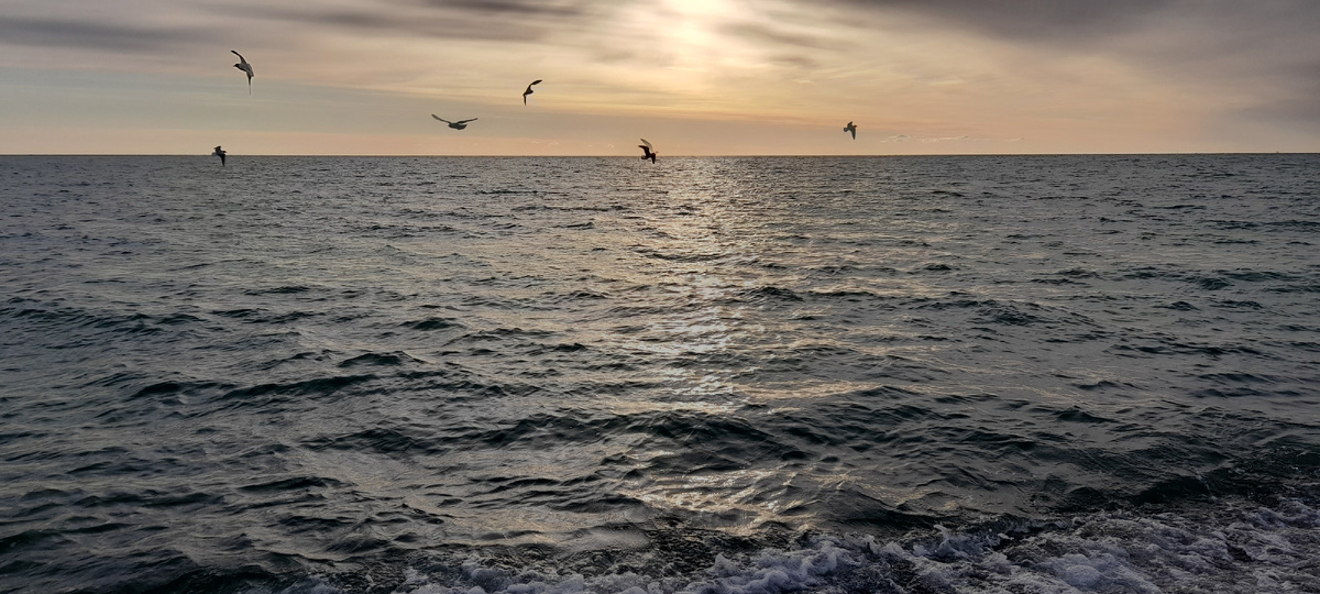 Сменили тайгу на море