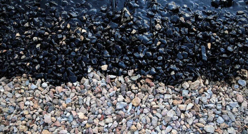    Lefteris Partsalis / Global Look Press