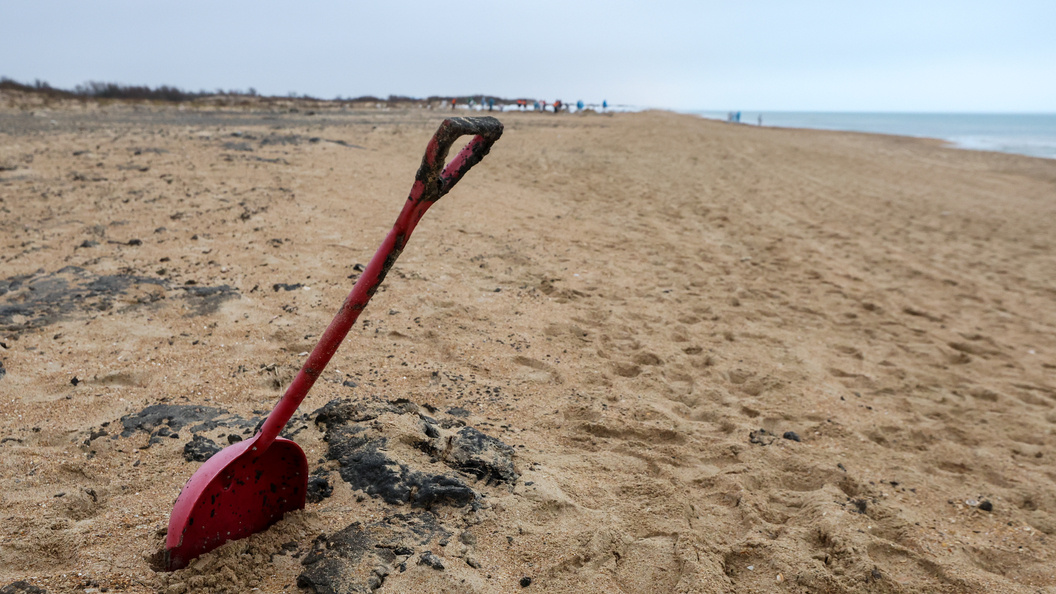    Фото: Belkin Alexey/news.ru/Globallookpress