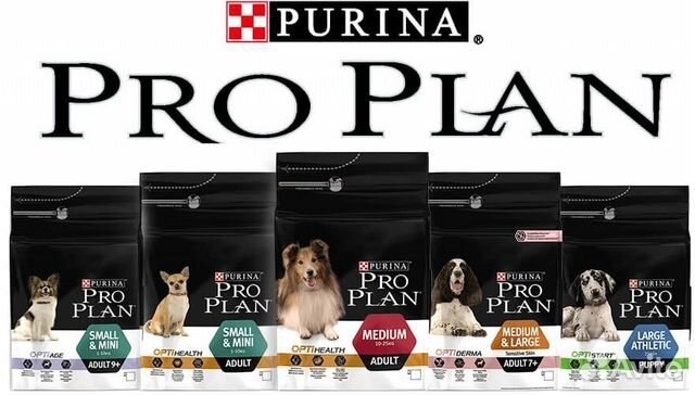 картинка из нейросетей