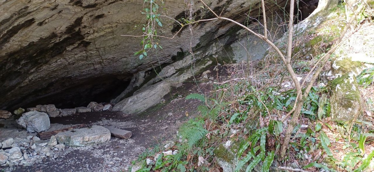 Воронцовская пещера. На выходе распустились январские подснежники.😍